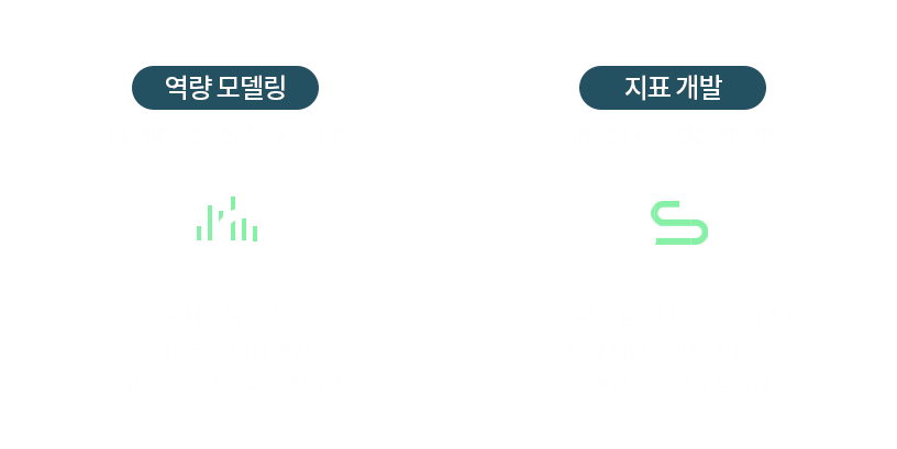 역량 모델링(Competency Modeling) : 1. 회사의 핵심가치 2. 리더의 리더십 역량 3. 구성원의 직무/계층별 역량. 지표 개발(Index Development) : 1. 역량 모델 기반, 역량 측정 지표 2. 역량 진단 요인 및 진단 문항 3. 역량 진단 결과 프레임