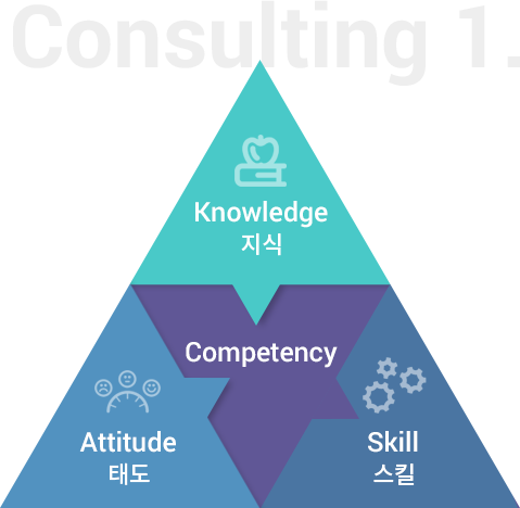 Consulting 1. Competency : 지식(Knowledge), 태도(Attitude), 스킬(Skill)